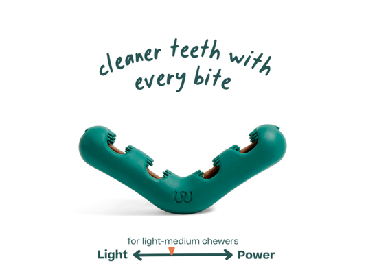 Woof | The Bite n' Brush