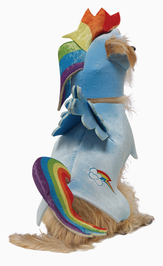 California Costumes | My Little Pony | Rainbow Dash | Halloween