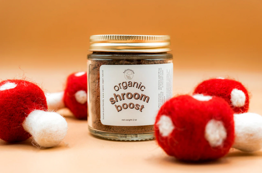 Holisticanine | Organic Shroom Boost Supplement | Immune and Cognitive Support