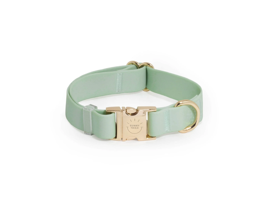 Sunny Tails | Pistachio Green Waterproof Dog Collar