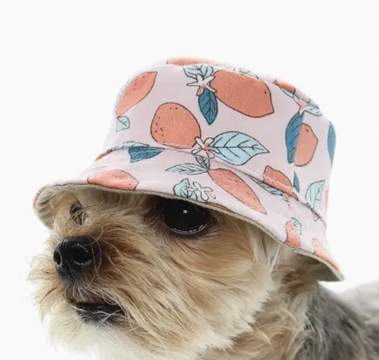 Dogo | Bucket Hat Lemon Pink