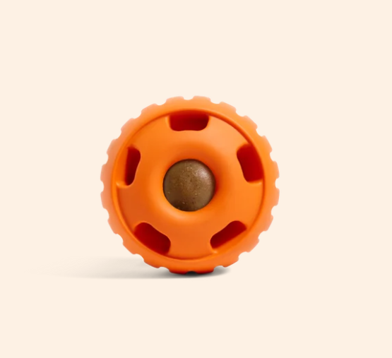 Woof | Pupsicle | Pumpkin