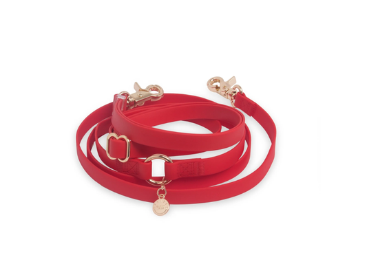 Sunny Tails | 4-in-1 Convertible Hands Free Cloud Dog Leash