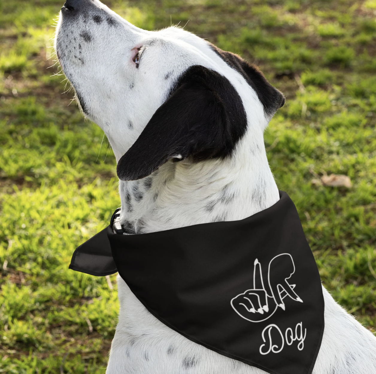 MiWowWow | Dog Bandana | LA Pride