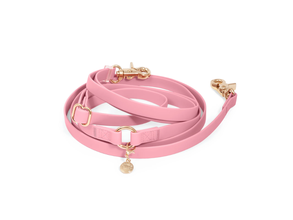 Sunny Tails | 4-in-1 Convertible Hands Free Cloud Dog Leash