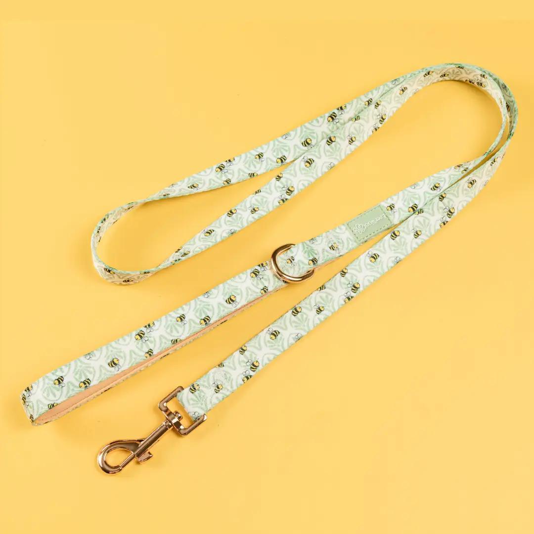 EverWoof | Leash | Little Honey