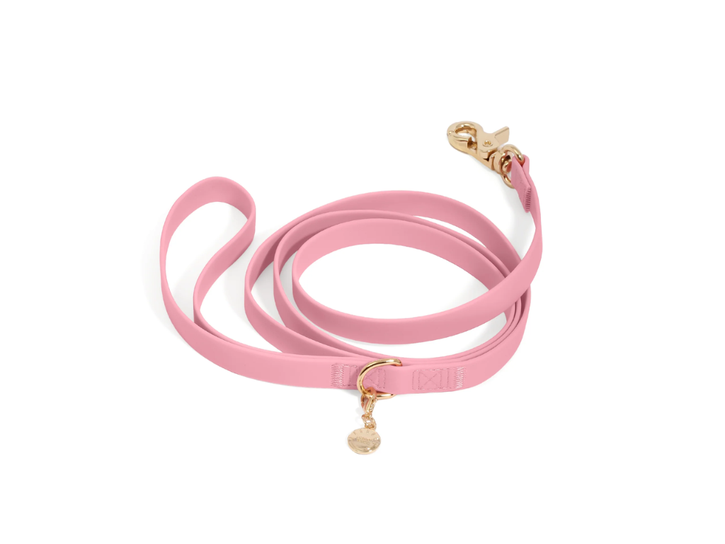 Sunny Tails | Waterproof Cloud Dog Leash - 5FT