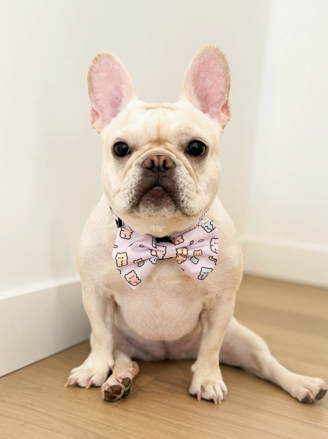 Korriko | Gummy Bear Bow Tie