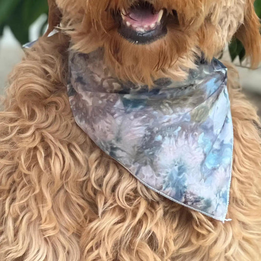 Shanna's Tie Dye | Dog Bandana | Carmel by the Sea Colorway