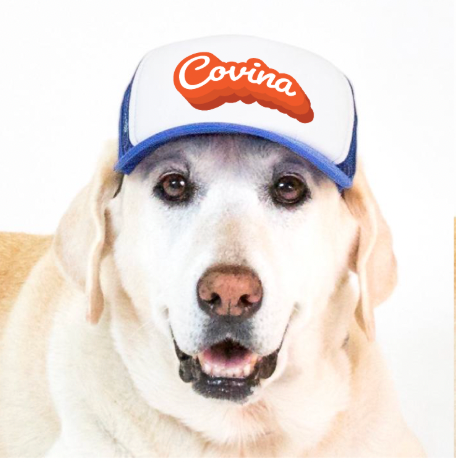 Puplid | Covina Retro Trucker Hat for Pets