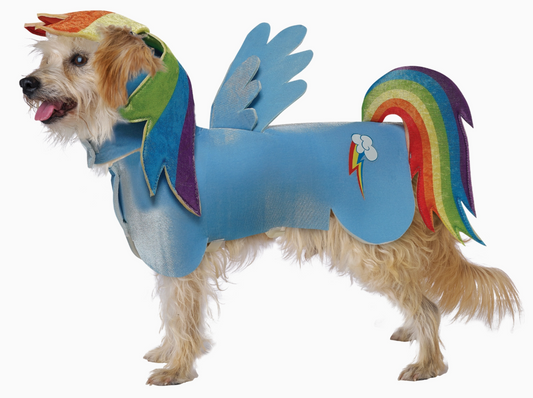 California Costumes | My Little Pony | Rainbow Dash | Halloween