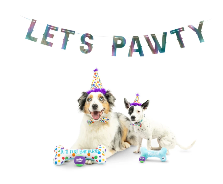 Huxley & Kent | Celebration Box | Happy Barkday