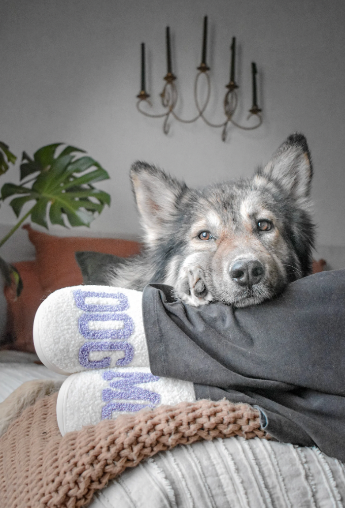 Brewin Aussie Co | Dog Mom Slippers | Lavender