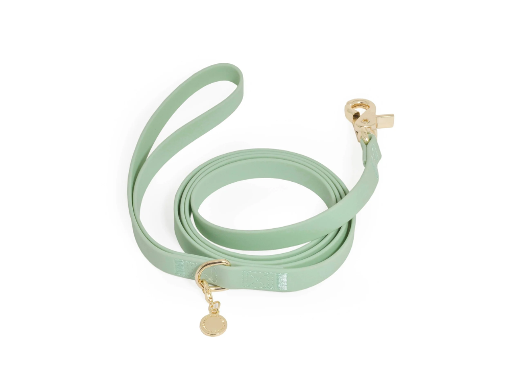 Sunny Tails | Waterproof Cloud Dog Leash - 5FT