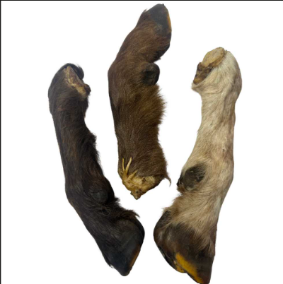 Goat Trotter | Dehydrated