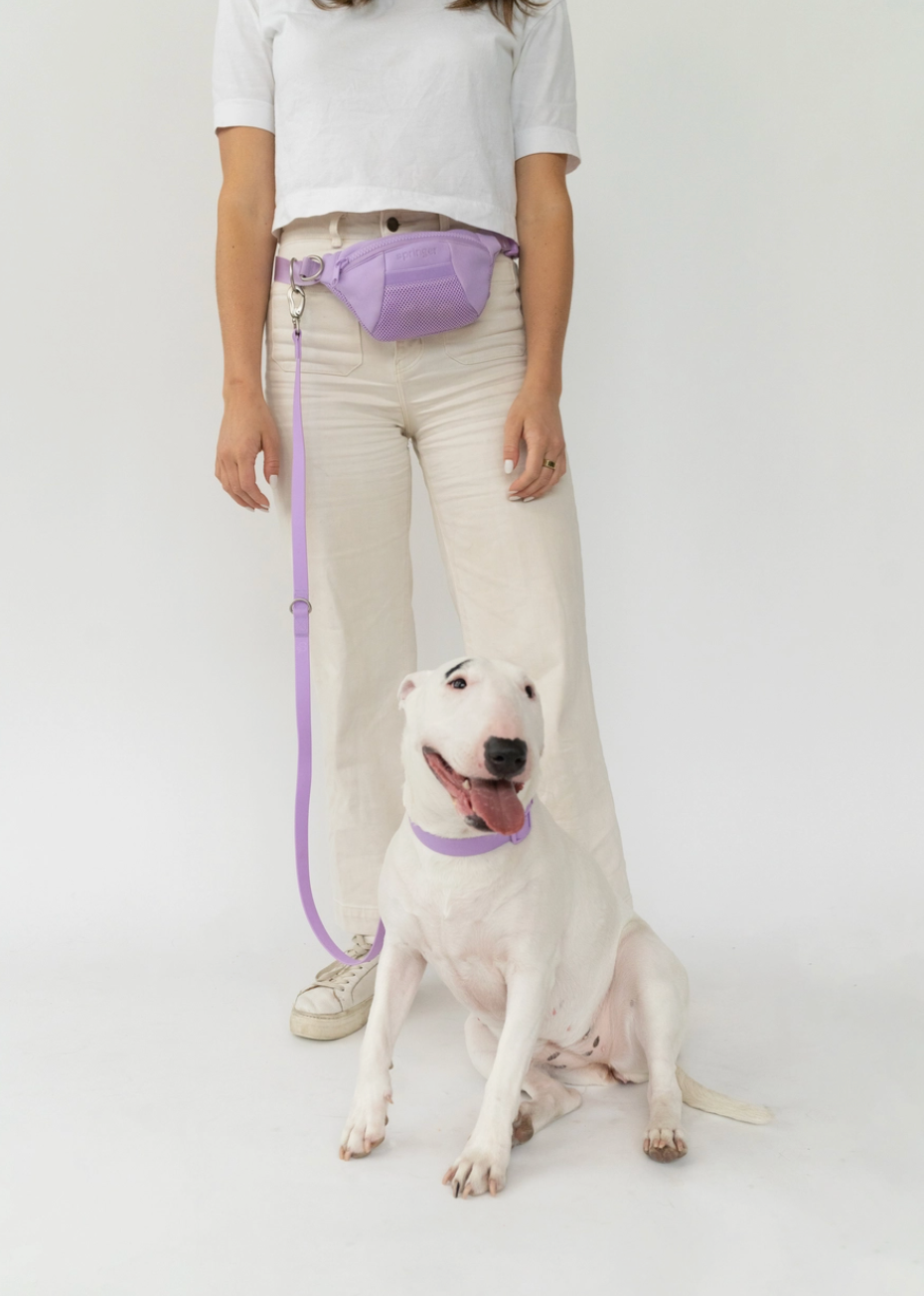 Springland Pets | Sling Bag With Dog Leash | Dog Walking System | Lilac