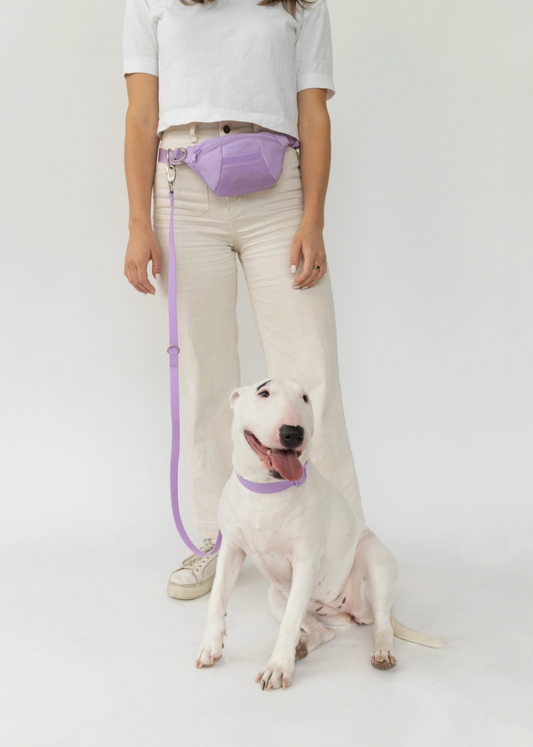 Springland Pets | Sling Bag With Dog Leash | Dog Walking System | Lilac