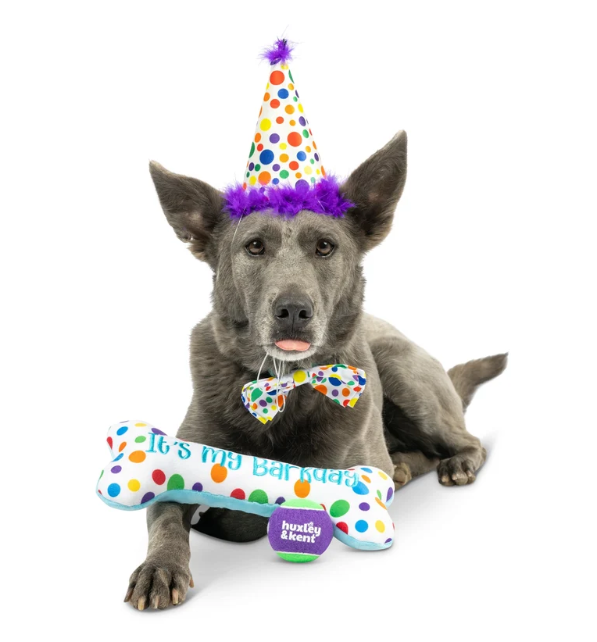 Huxley & Kent | Celebration Box | Happy Barkday