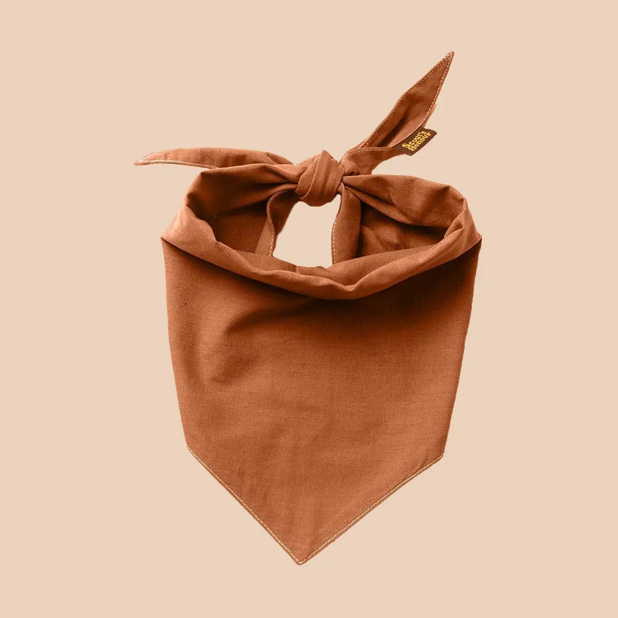 Scout's Honour | Dog Bandana