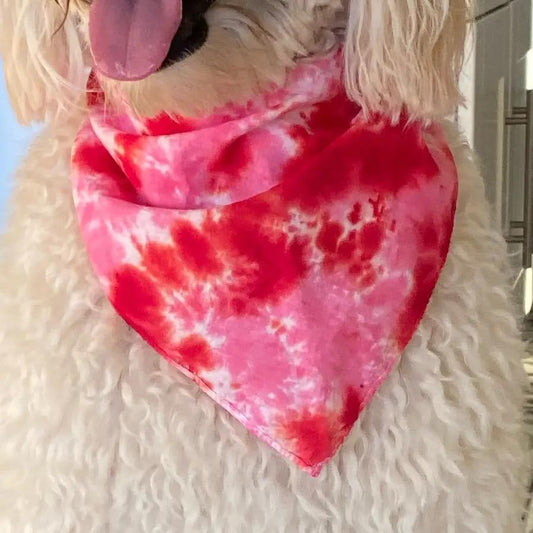Shanna's Tie Dye | Valentine Dog Bandana | Red and Pink
